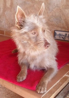 jerry 20101115 1800024711