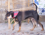 jonnie 4 20130607 1520142719
