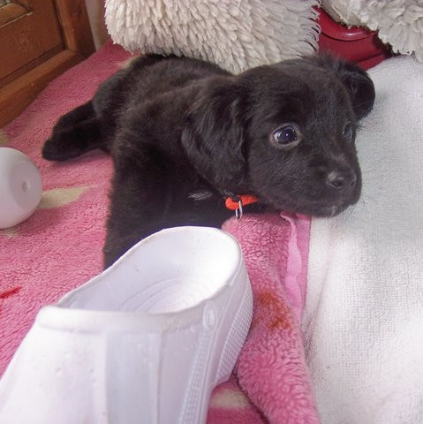 juanito 20110416 1176080759