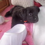 juanito 20110416 1176080759