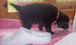 juanito 20110416 1486772382