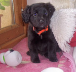 juanito 20110416 1872092420