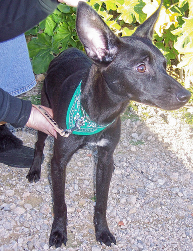juniorio 20110304 1090246044