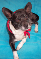 klaus 1 20120103 1441583169