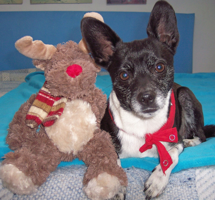 klaus 2 20120103 1454980405