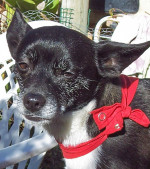 klaus 4 20120103 1479009863