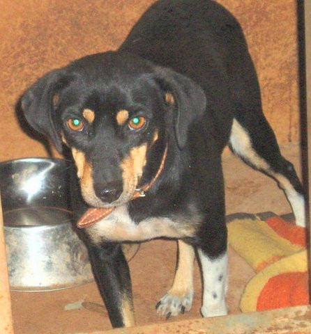 fiona 20101115 1014703720