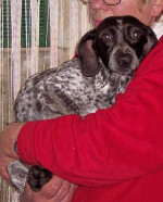 frieda 20110313 1078767602