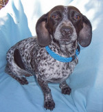 frieda 20110313 1316689239