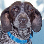 frieda 20110313 1741052612