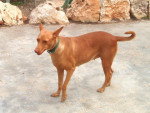 gitta 20101111 1402839024