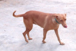 gitta 20101111 2051218629