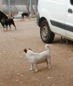 gordon 20101111 1158605714