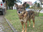 fetizia 20110318 1212383424