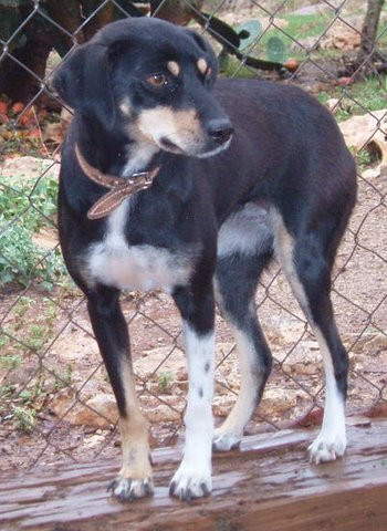 fiona 20101115 1058976491