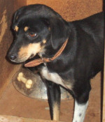 fiona 20101115 1559486714