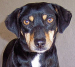 fiona 20110214 1700715739