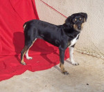 fiona 20110214 1782760901