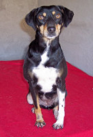 fiona 20110214 1930683650