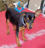 dieno 20101111 1800403658