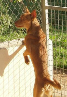 divo 20101115 1725013614