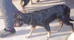 cathy 2 20111214 1273071565