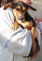 cheeper 20101207 1827863165