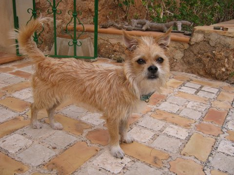 christa 2 20111006 1069710133