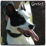 gretel 1 20160819 1623257635