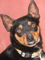 Jacko