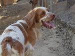 sully 2 20150913 1171705268