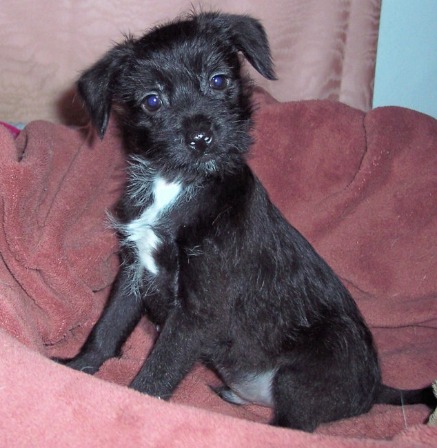 sweetie 20101205 1689688372