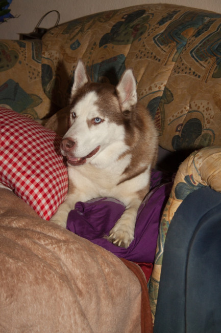boris 1 20130117 1921906735