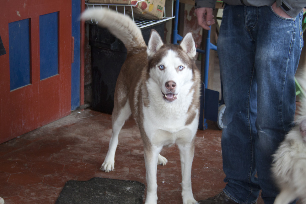 boris 2 20130115 1750701439