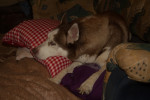 boris 3 20130117 1569754647