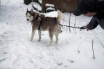 boris 7 20130115 1102483320