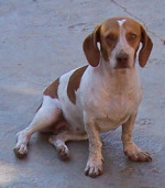 bruny 4 20120624 1067605257
