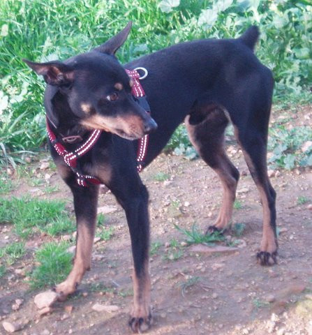 bruti 1 20111019 1588618968