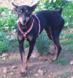 bruti 20101215 1253997074