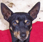 bruti 20110111 1091440266