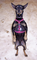 bruti 20110111 1125601233