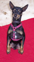 bruti 20110111 1146199574