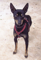 bruti 20110111 1320856168