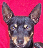 bruti 20110111 2014574038