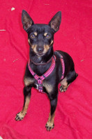 bruti 20110111 2092983530