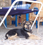 george 3 20121109 1787410321