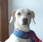 berla 20101111 1053081692