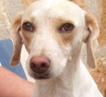 berla 20101111 2040578318