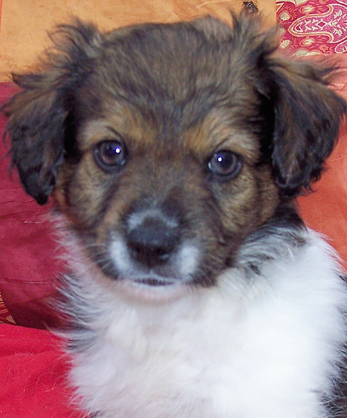 bibi 20110201 1144832476
