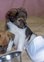 bibi 20110201 1720364503